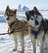 Blue Sky Expeditions