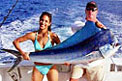 HawaiiActive