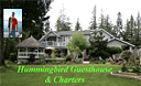 Hummingbird Guest House and Charters