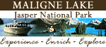 Maligne Lake Cruise