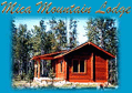 Mica Mountain Lodge