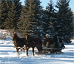 Moose Mountain Adventures