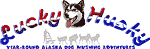Lucky Husky